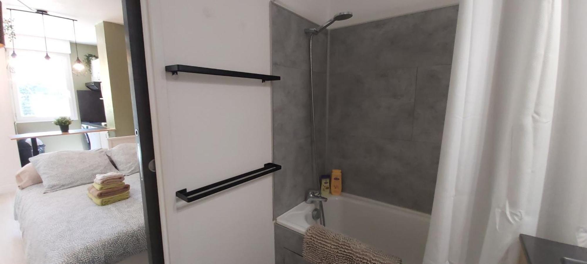 Apartamento Les Elfes - avec parking&jardin privé ! Toulouse Exterior foto
