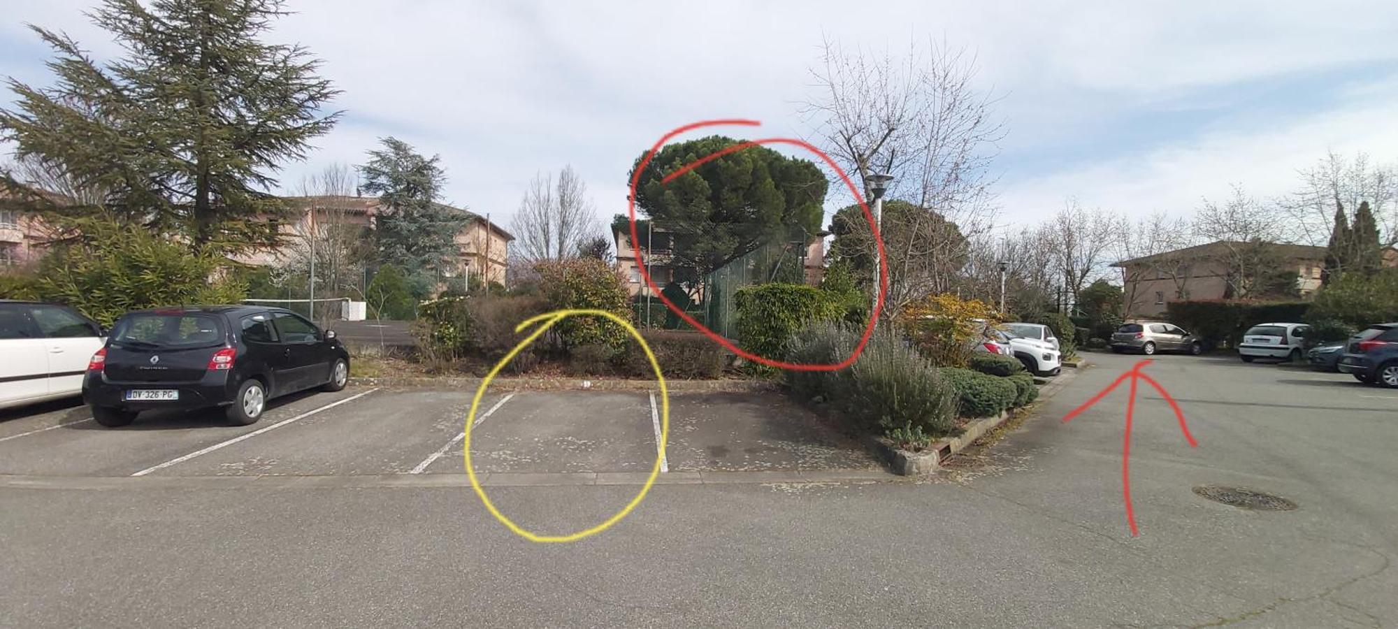 Apartamento Les Elfes - avec parking&jardin privé ! Toulouse Exterior foto
